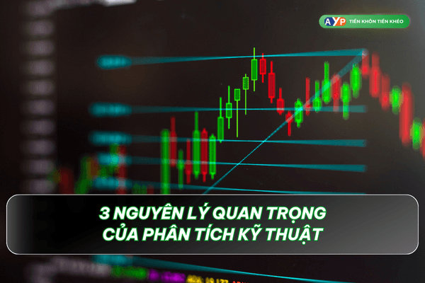 3 nguyên lý quan trọng của phân tích kỹ thuật - Phân tích kỹ thuật là gì?