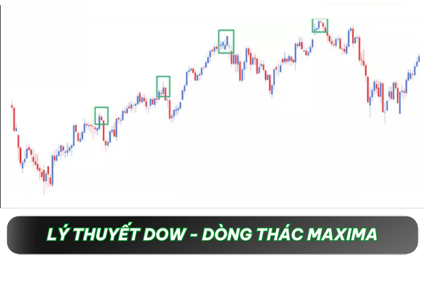 Dòng thác Maxima - Lý thuyết Dow là gì?