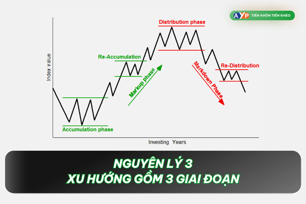 Nguyên lý 3: Xu hướng gồm 3 giai đoạn - Lý thuyết Dow là gì?