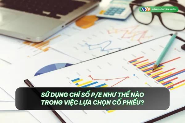 Nhà đầu tư nên sử dụng chỉ số P/E như thế nào?