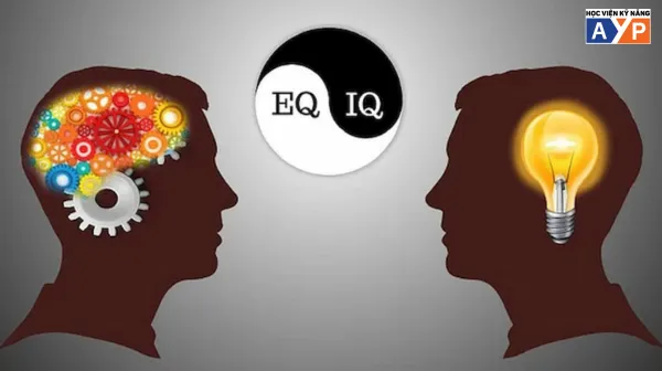EQ là gì? Bí quyết nâng cao trí tuệ cảm xúc để thành công trong cuộc sống 8 IQ và EQ khác nhau như thế nào?