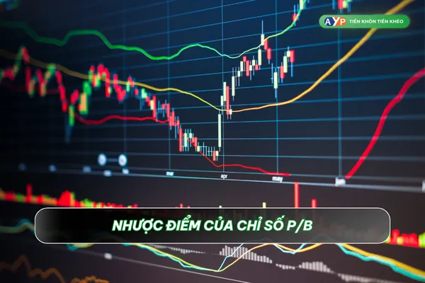Nhược điểm của chỉ số P/B là gì?