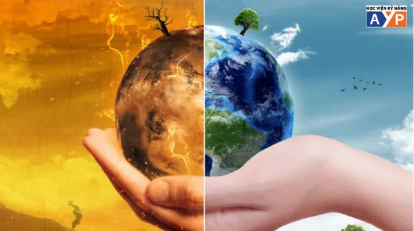 Trí thông minh thiên nhiên là gì? Nhận diện tình yêu thiên nhiên trong con bạn 12 Nhạy cảm trước những biến đổi từ môi trường tự nhiên