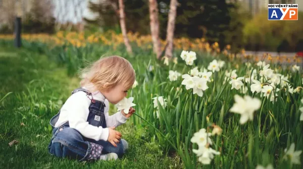 Trí thông minh thiên nhiên là gì? Nhận diện tình yêu thiên nhiên trong con bạn 13 Dấu hiệu trẻ có trí thông minh nhiên nhiên - Cha mẹ cần lưu ý