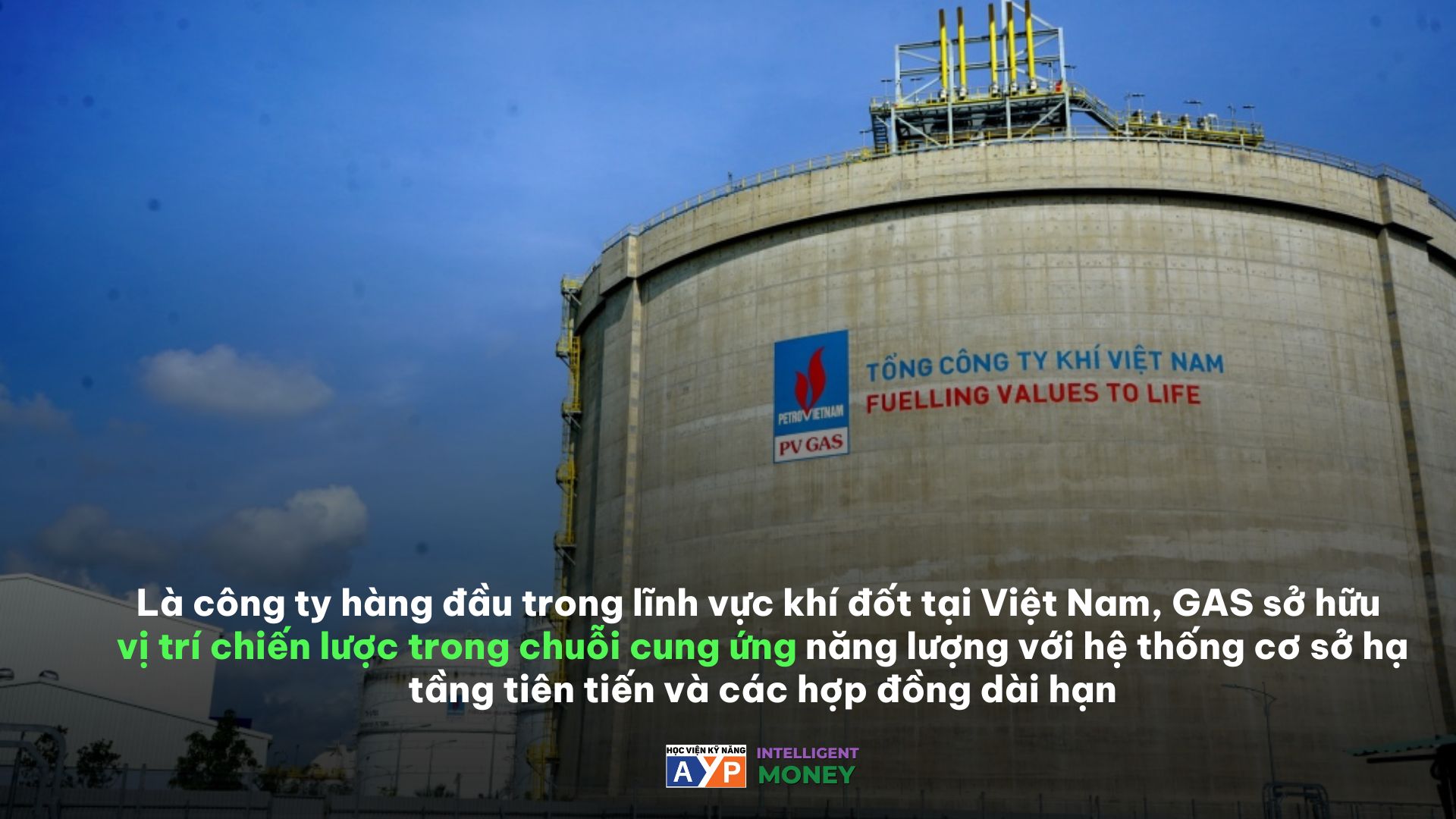 Danh Sách Những Công Ty Trả Cổ Tức Đều Đặn Bằng Tiền Mặt Năm 2025 – Lựa Chọn Đầu Tư Dài Hạn 23